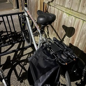 Giant Cypress DX w Silver Silver, gray or bare metal