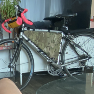 Specialized Roubaix Silver, gray or bare metal