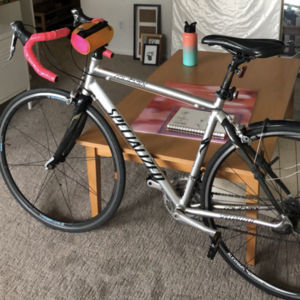Specialized Roubaix Silver, gray or bare metal