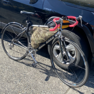 Specialized Roubaix Silver, gray or bare metal