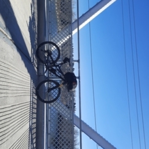 2017 Intense Spider 29c Black