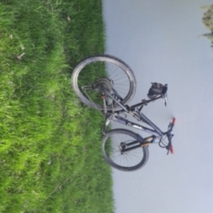 2017 Intense Spider 29c Black