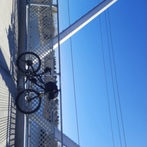 2017 Intense Spider 29c Black