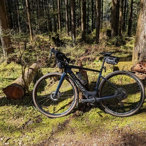 2020 Specialized Creo Blue