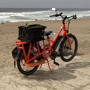 2019 Rad Power Bikes Radwagon cargo bike (rear storage) Orange