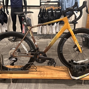 2023 Salsa Warroad Yellow or Gold
