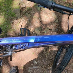 2024 Trek Marlin 5 Purple