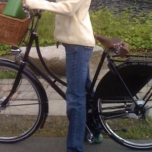 2008 Velorbis Victoria Black