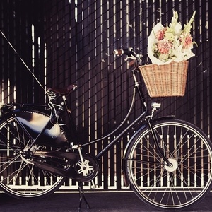 2008 Velorbis Victoria Black