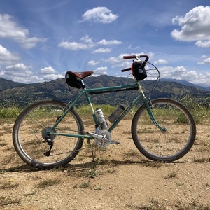 2022 Rivendell Bicycle Works Atlantis Teal