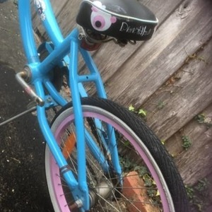 2000 Crusader and another brand Boys and girls Blue