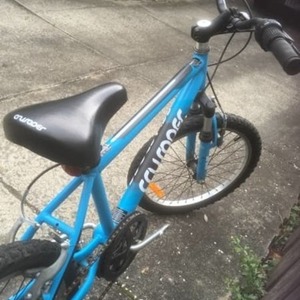 2000 Crusader and another brand Boys and girls Blue