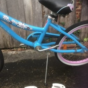 2000 Crusader and another brand Boys and girls Blue