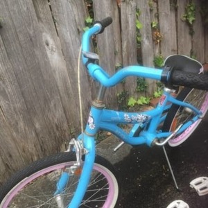 2000 Crusader and another brand Boys and girls Blue