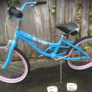 2000 Crusader and another brand Boys and girls Blue