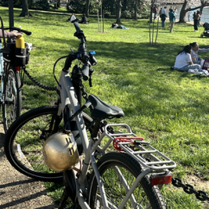 2023 REI Co-op e2.1 Silver, gray or bare metal