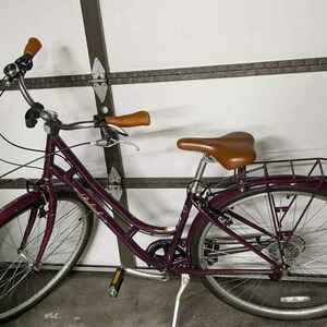 2015 Raleigh Cameo Purple