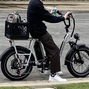 2021 Rad Power Bikes RadRunner Plus Silver, gray or bare metal