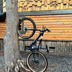 2019 Specialized LEVO Blue