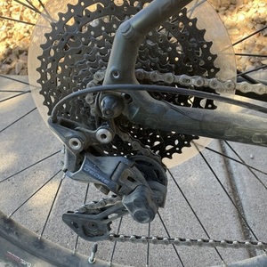 2024 Specialized Rock hopper comp Green