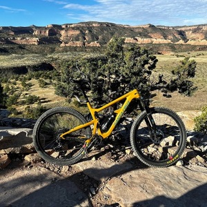 2019 Santa Cruz Hightower Yellow or Gold