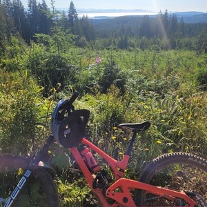 2024 Evil Wreckoning Pink