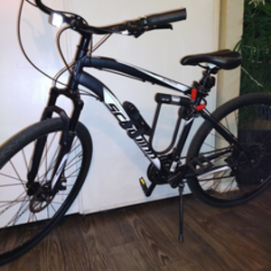 Schwinn S5712WMDS White