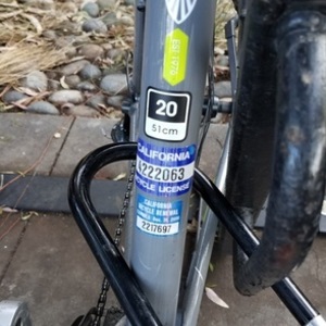 Trek 7.4 FX Silver or Gray