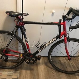 Raleigh Red and Black