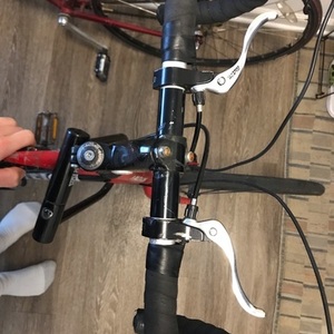 Raleigh Red and Black