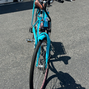 2021 sixthreezero Step-Through Teal, Brown, and Black