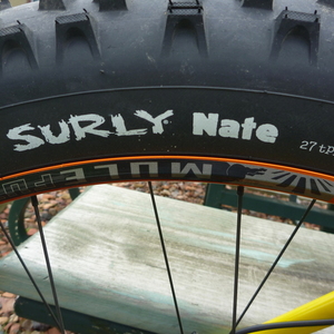 2016 Salsa Mukluk Yellow or Gold