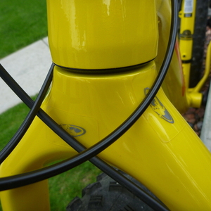 2016 Salsa Mukluk Yellow or Gold