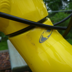 2016 Salsa Mukluk Yellow or Gold
