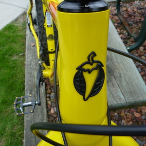 2016 Salsa Mukluk Yellow or Gold