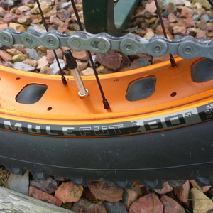 2016 Salsa Mukluk Yellow or Gold