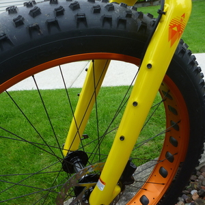2016 Salsa Mukluk Yellow or Gold