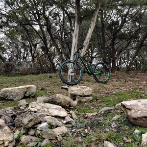 2019 Giant Stance Black and Green