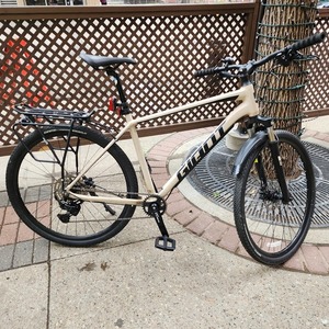 2020 GIANT BICYCLE CANADA Giant Roam 4 Disc Bike - Large Tan Brown and Black