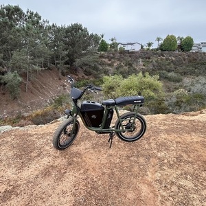 2021 Rad Power Bikes Radrunner Green