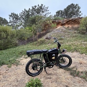 2021 Rad Power Bikes Radrunner Green