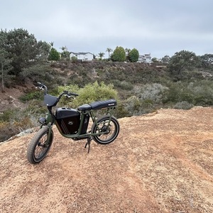 2021 Rad Power Bikes Radrunner Green