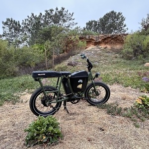 2021 Rad Power Bikes Radrunner Green