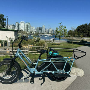 2024 Rad Power Bikes Radwagon 5 Blue