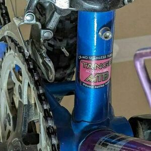 1993 Bianchi Peregrine Blue and Purple