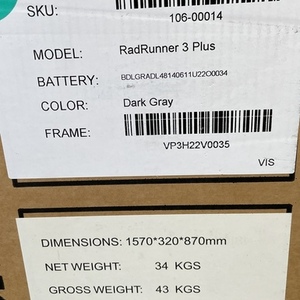 2023 Rad Power Bikes Radrunner 3 Silver, gray or bare metal