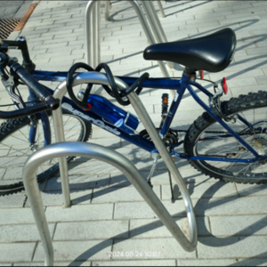 Supercycle REEZ Blue