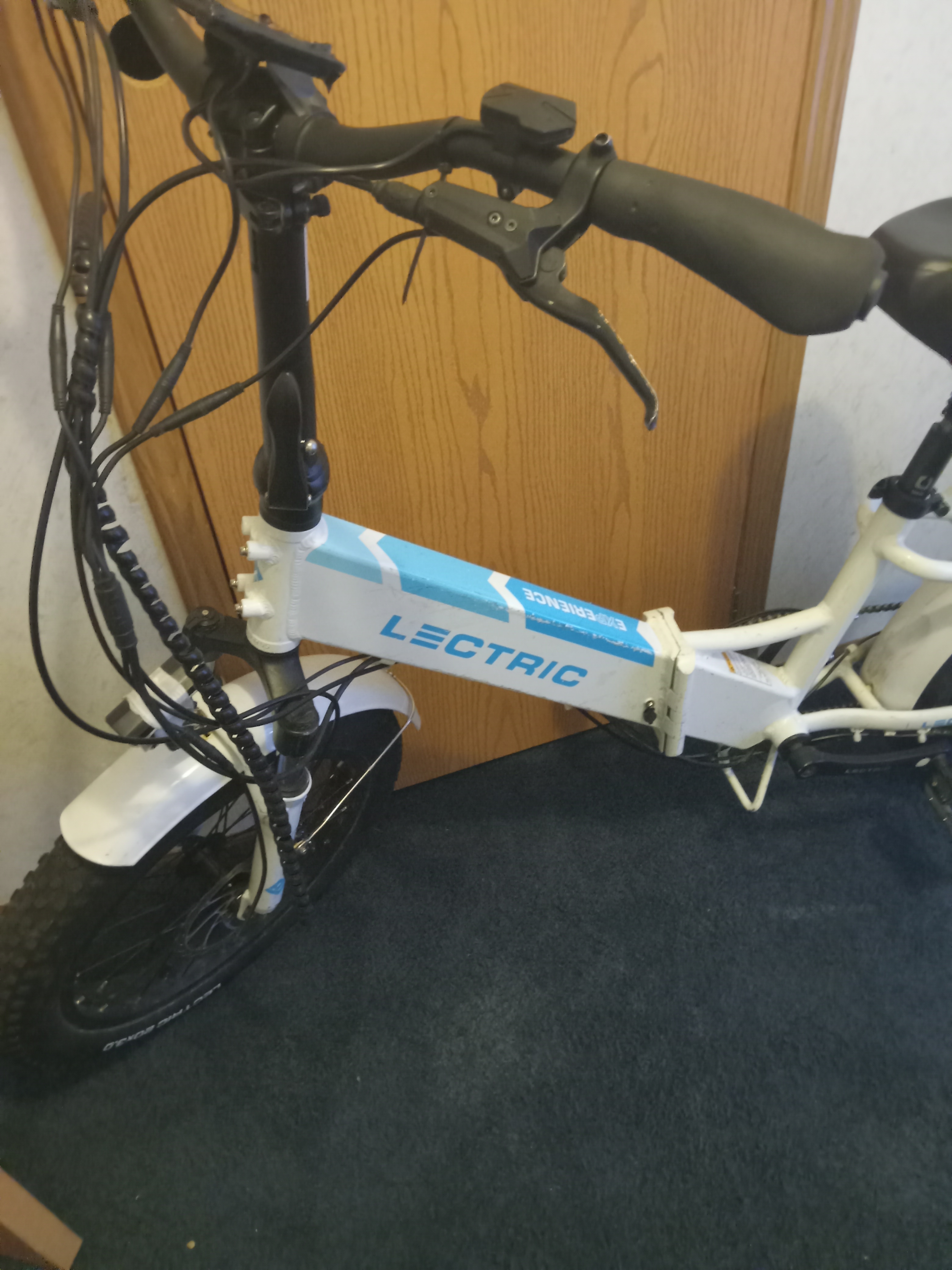 Stolen 2024 Lectric eBikes