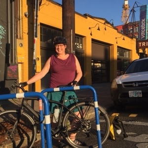 2017 Specialized BI-1390 Black