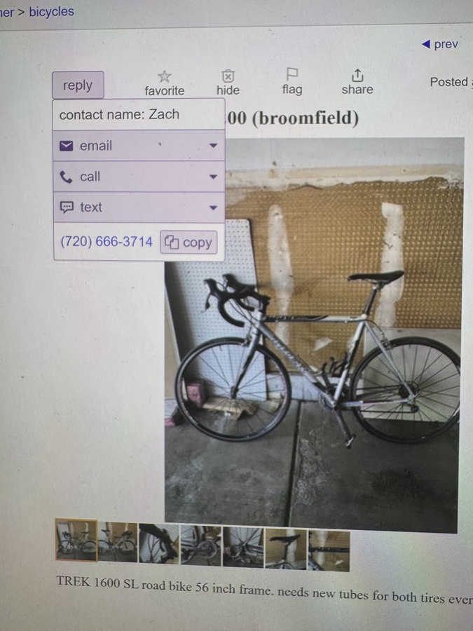 Stolen 2024 Trek SLR 1600